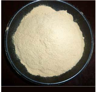 SOAKING ENZYME